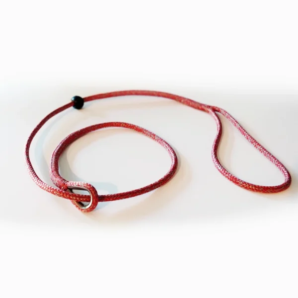 Red slip leash