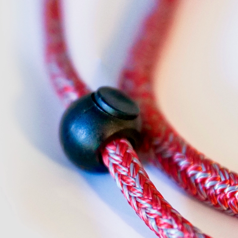 The Perfect Slip Leash - Image 2